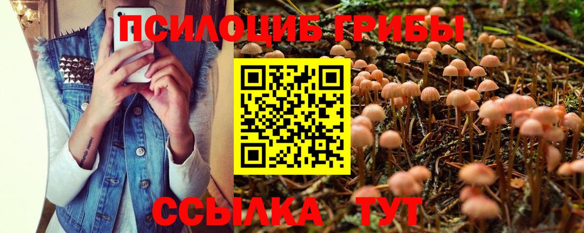 сколько стоит  Вход с VPN  Нягань  Псилоцибиновые грибы MAGIC MUSHROOMS 